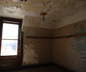 salt lake city mold removal