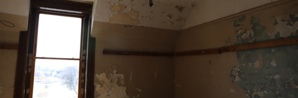 salt lake city mold removal