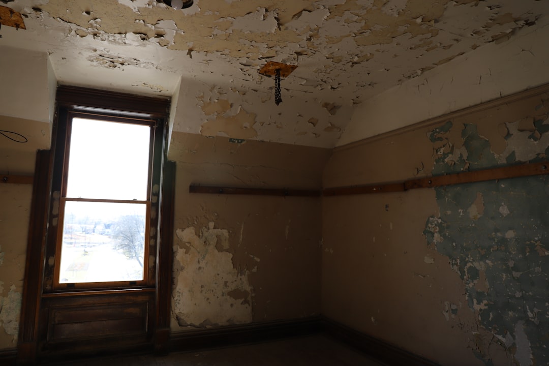 Mold and Mildew Removal