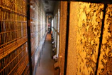 A dimly lit corridor in a medieval dungeon with iron bars and stone walls.