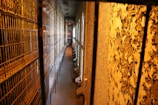 An old, dimly lit prison corridor with rows of metal bars and rusted gates on one side and a peeling, textured wall on the other. Several small windows allow light to cast onto the floor, creating a stark and cold atmosphere.