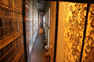 An old, dimly lit prison corridor with rows of metal bars and rusted gates on one side and a peeling, textured wall on the other. Several small windows allow light to cast onto the floor, creating a stark and cold atmosphere.