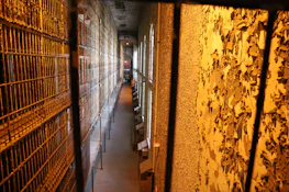 A stark, charcoal and cream graphic of a prison cell door with shadows casting across the floor.