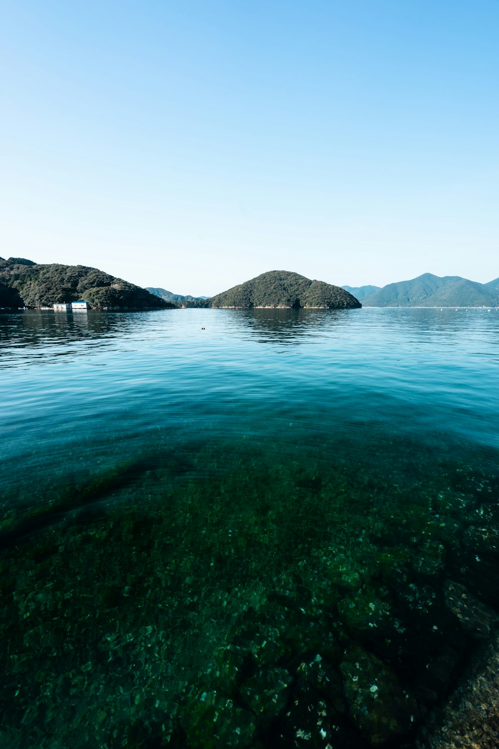 Specchio d'acqua verde vicino alla montagna durante il giorno