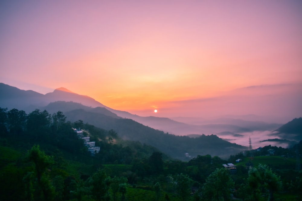 green trees on mountain during sunset