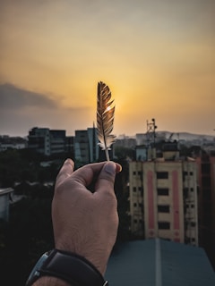 Urban rooftop scene featuring a person in feather land gear catching golden hour light.