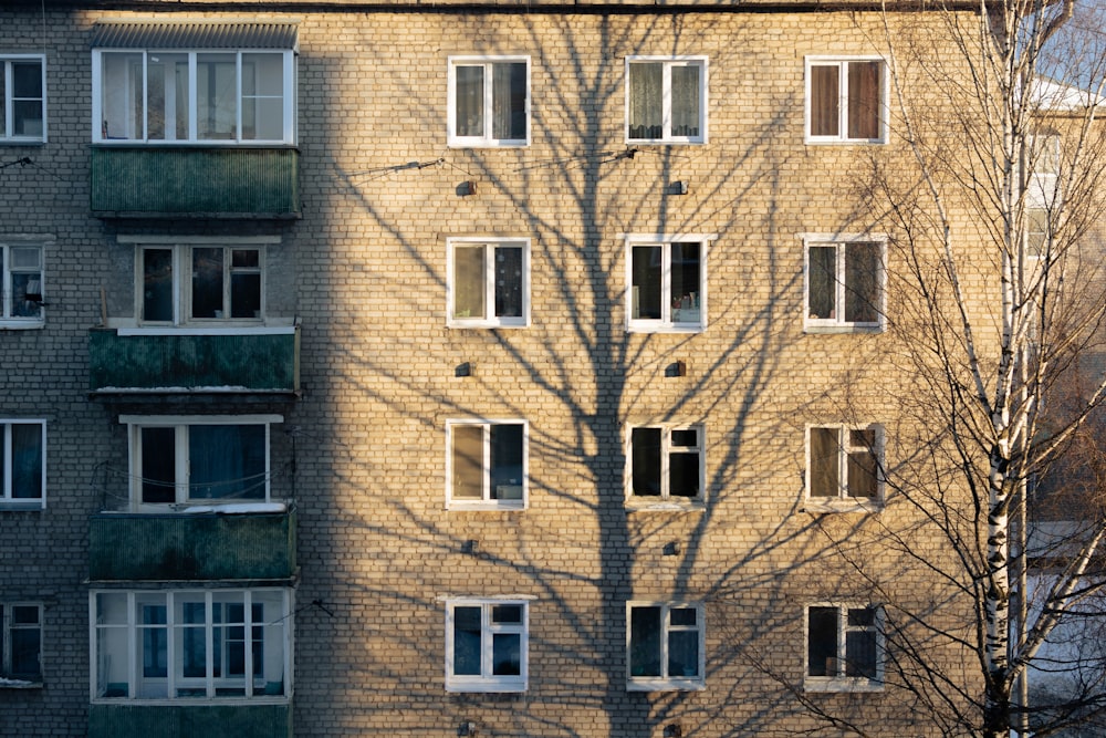 brown brick building with glass windows