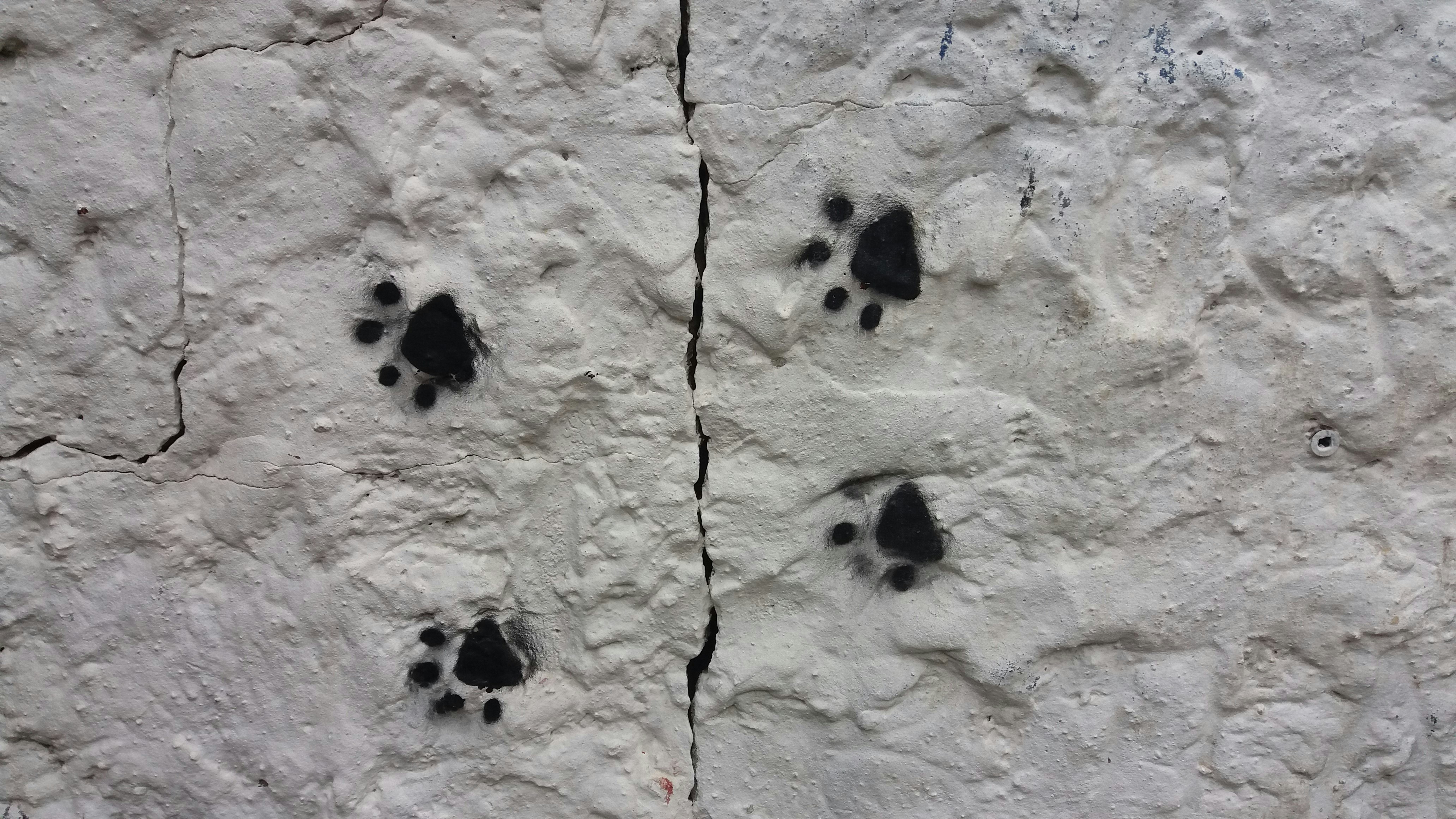 Limb Fatigue or Restlessness: When Waiting Gets Physical