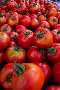 Organic Tomatoes