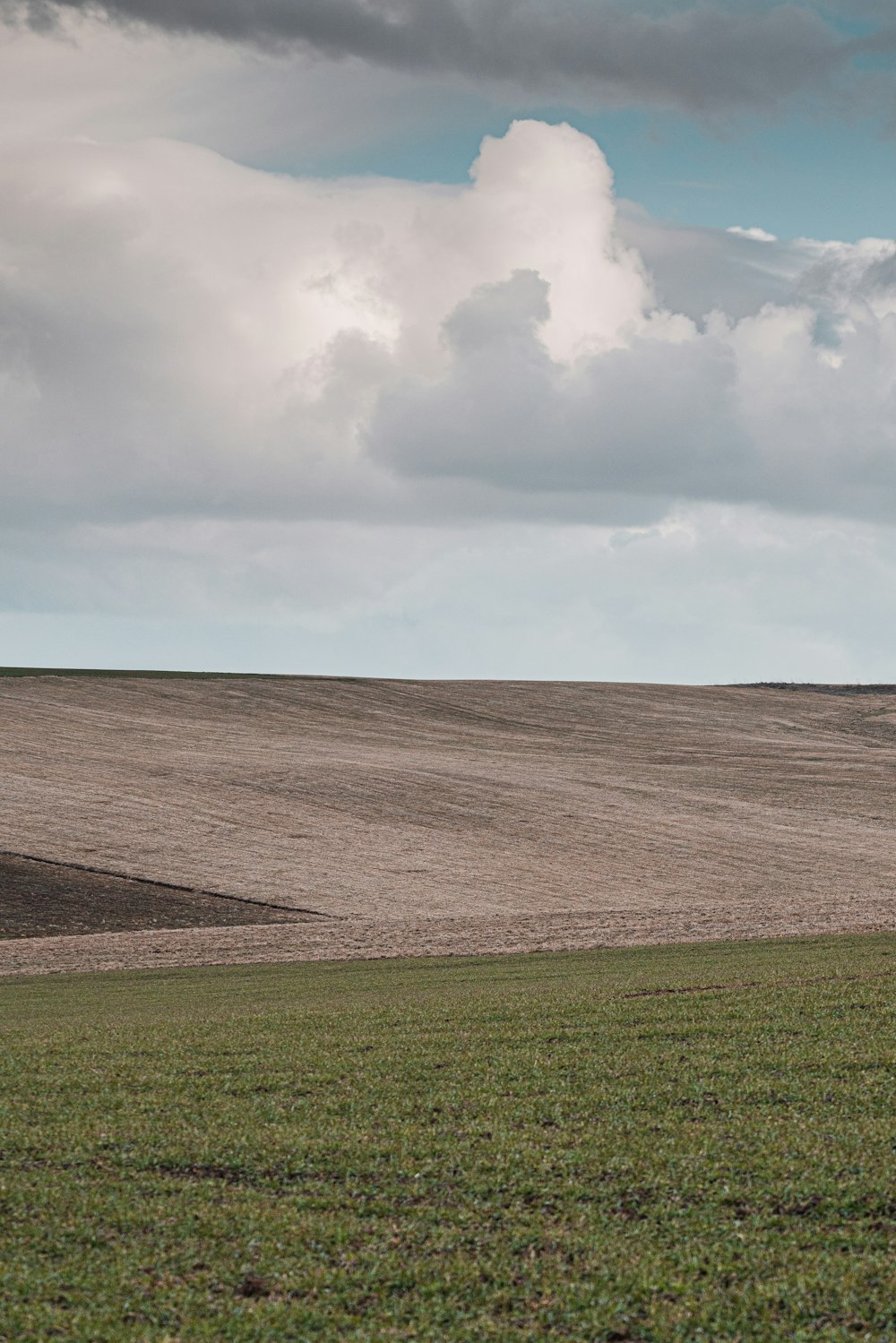 Grüner Rasenplatz unter weißen Wolken tagsüber