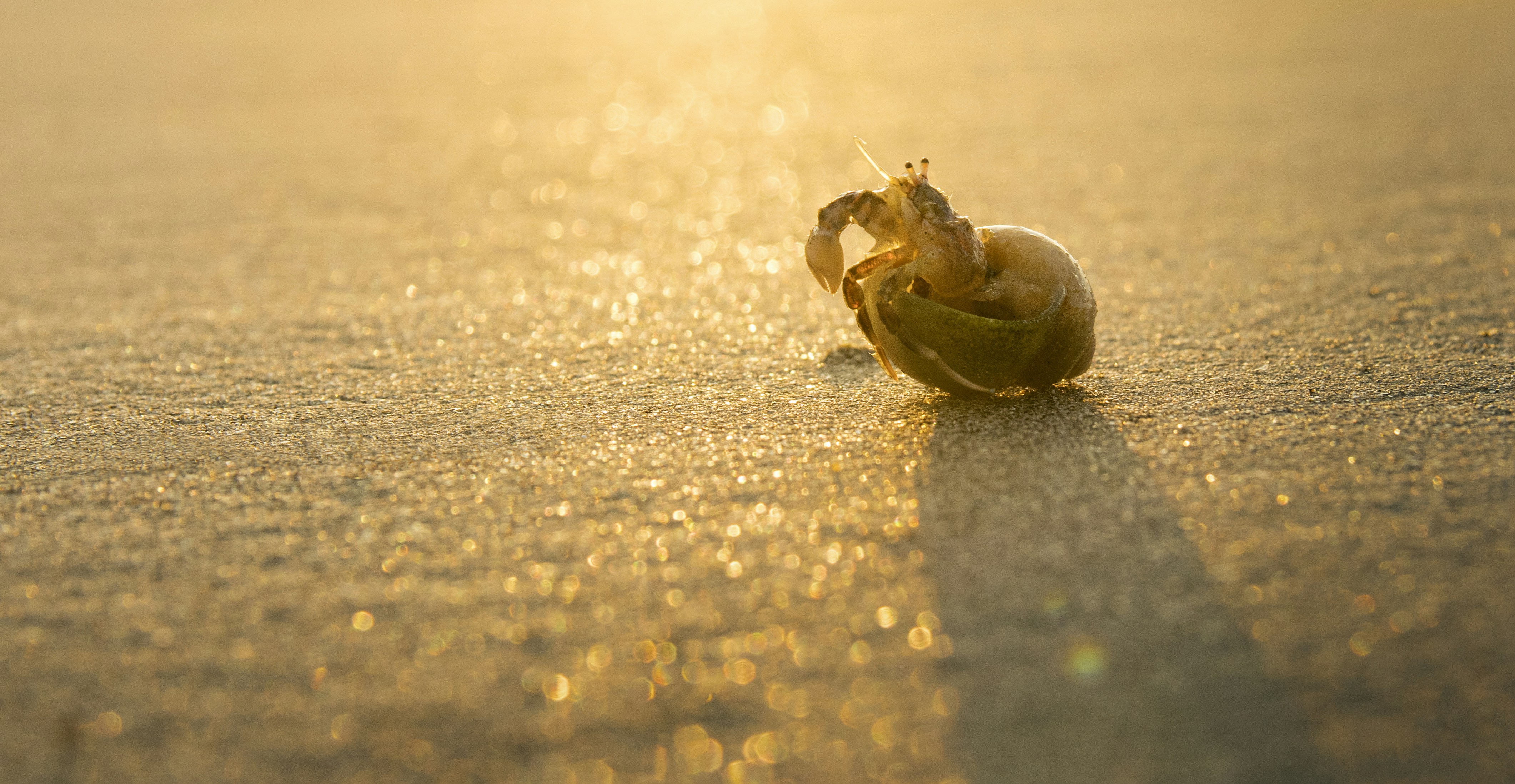 Photo by jangrawstudio