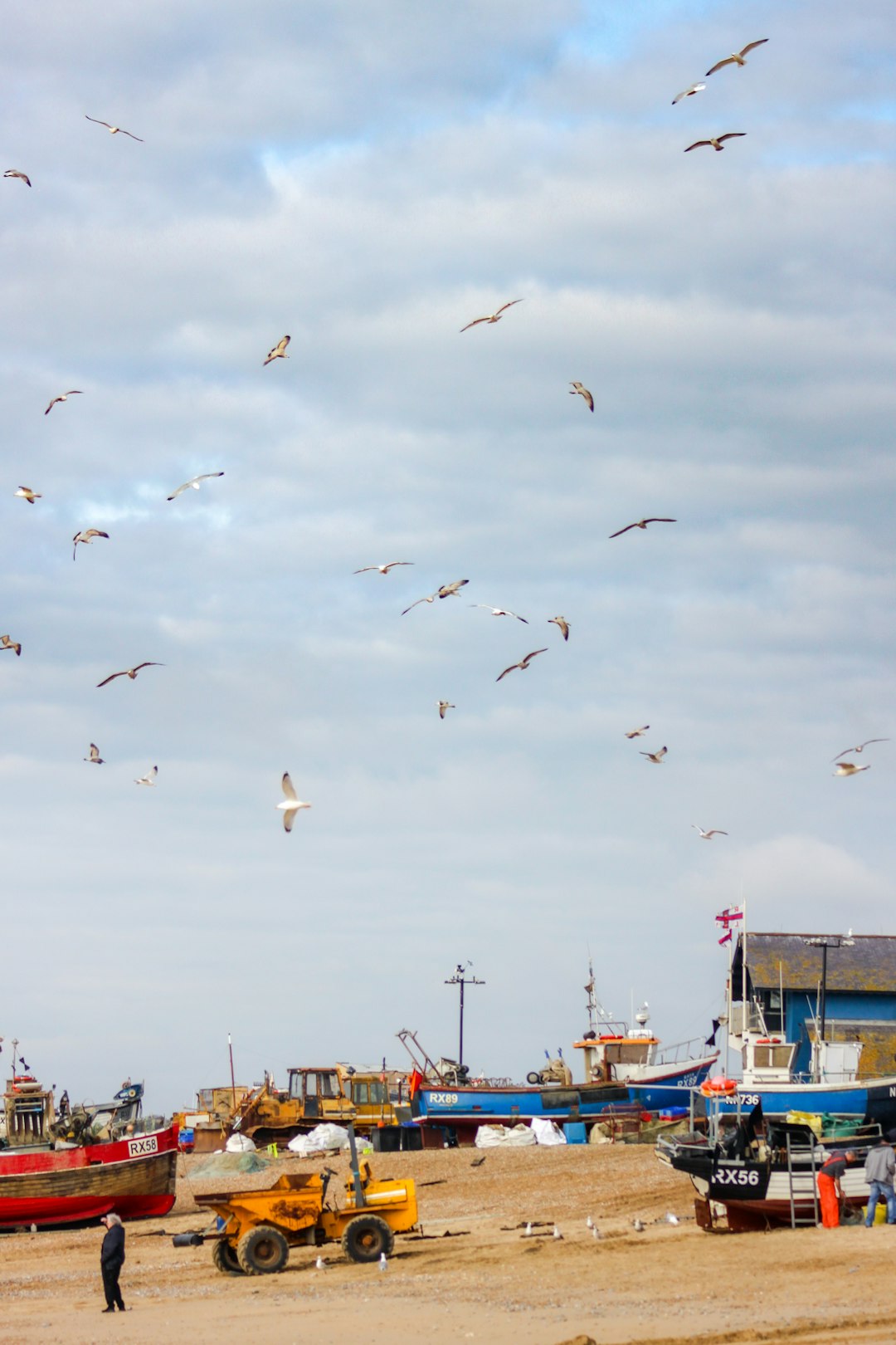 flock of birds flying over the sea during daytime