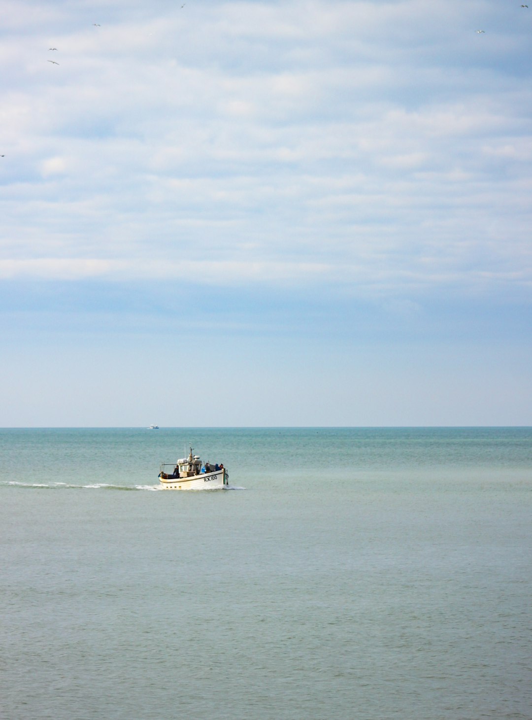 white and black boat on sea under blue sky during daytime