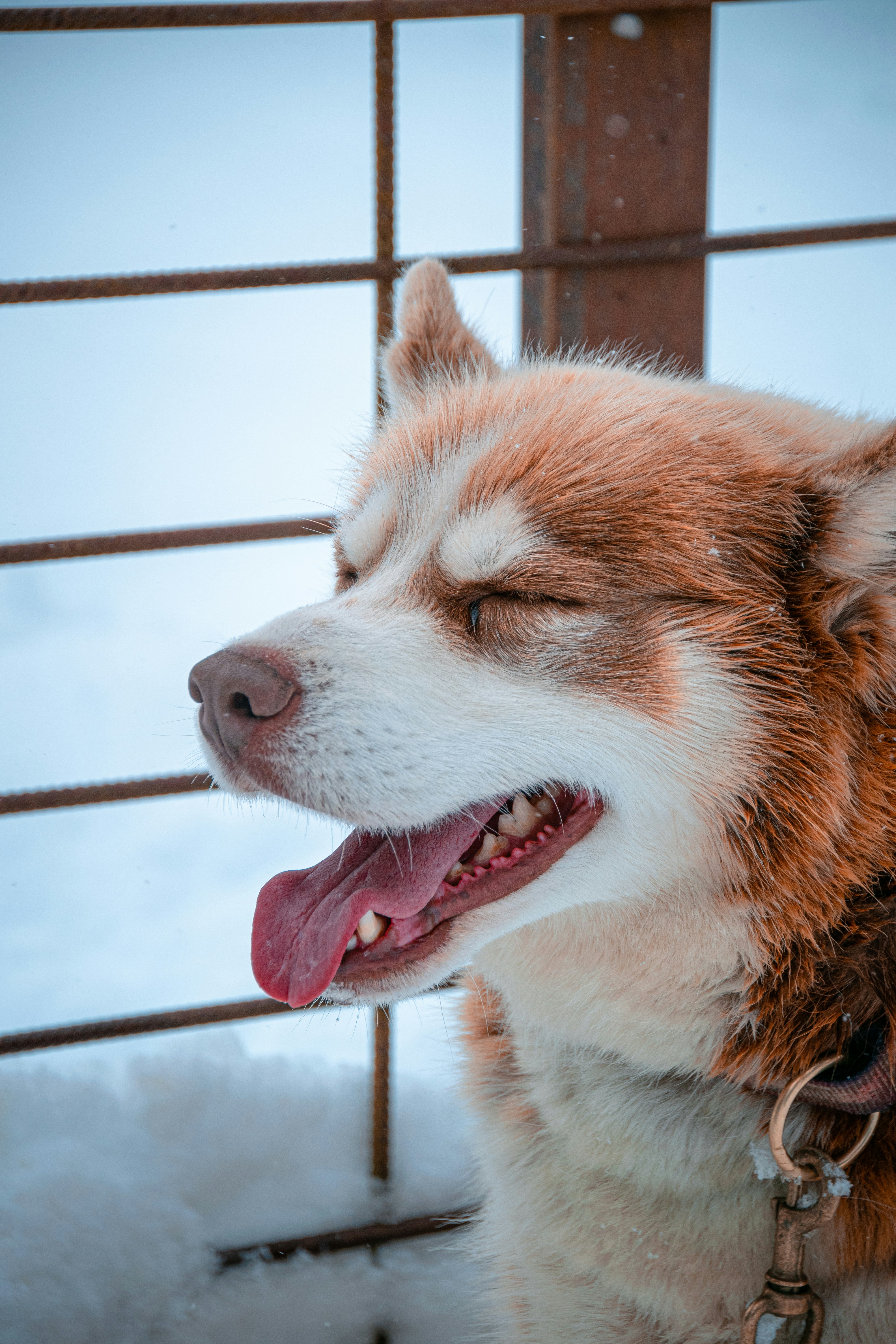 Photo by tamieuh