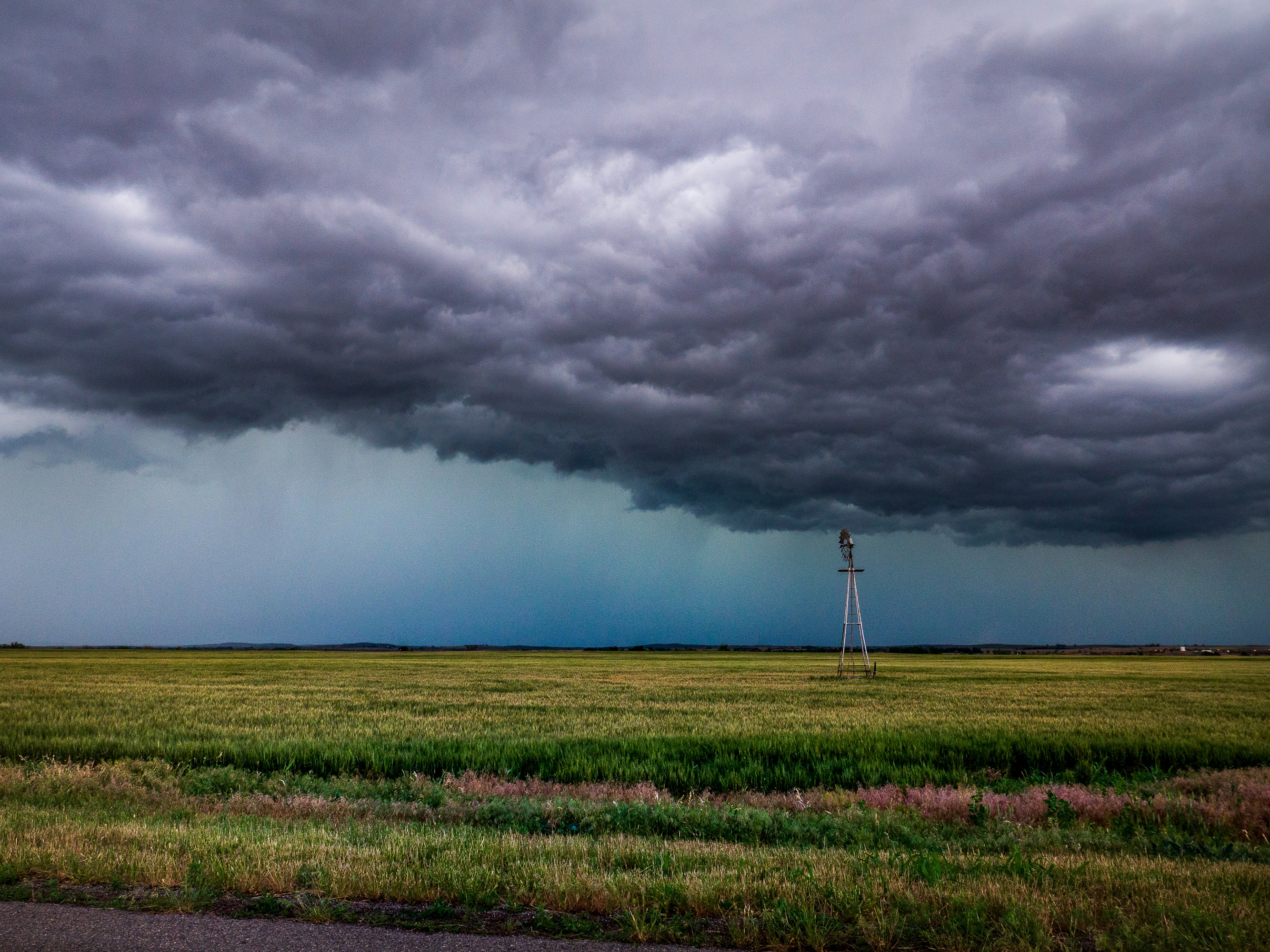green grass field under white clouds