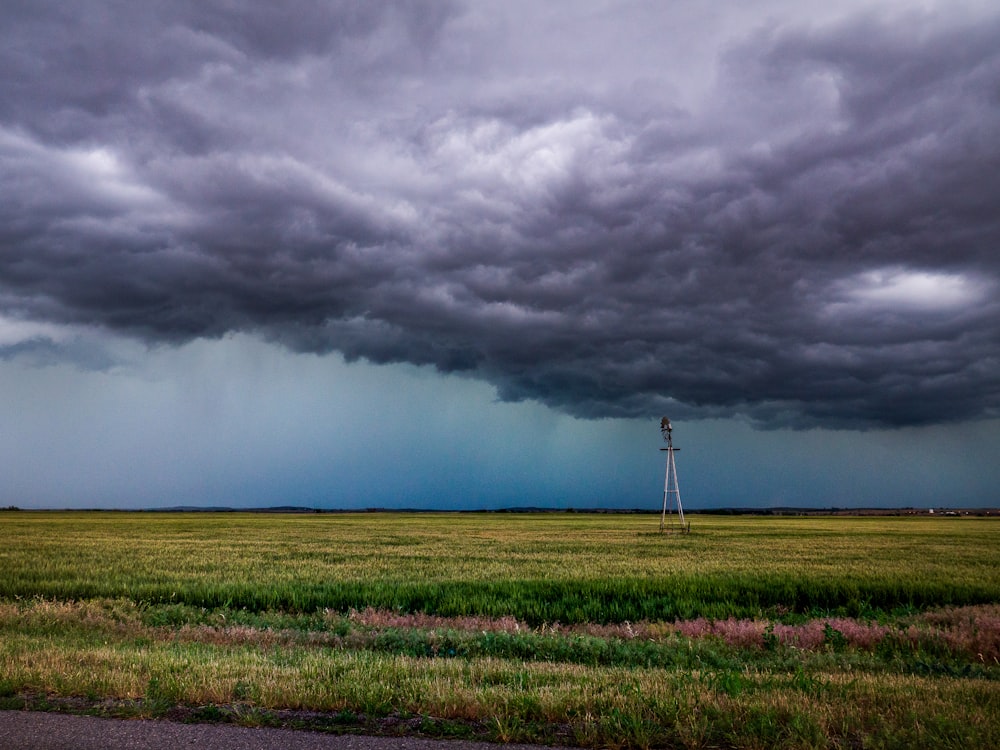 green grass field under white clouds