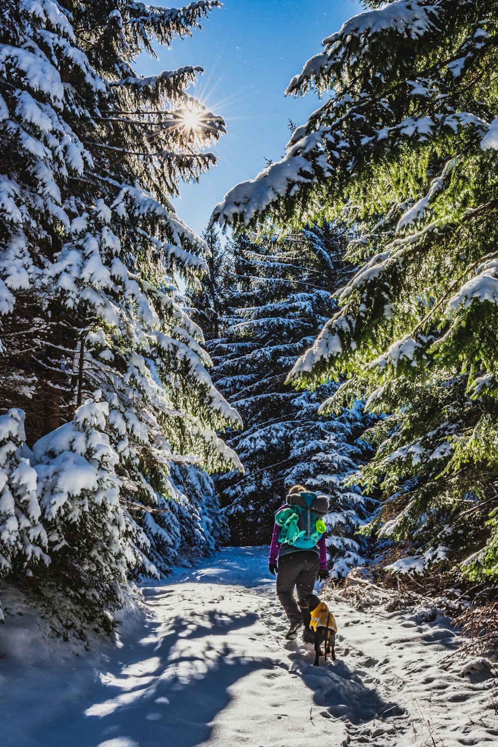 person in black jacket and blue pants walking on snow covered ground near trees during daytime