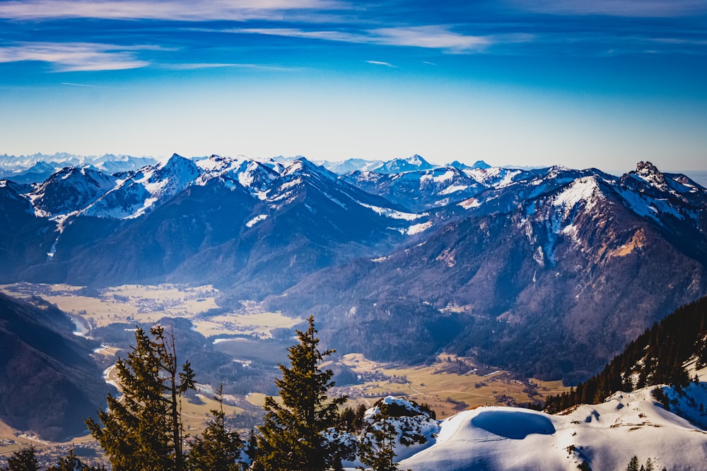 green trees on snow covered mountain during daytime