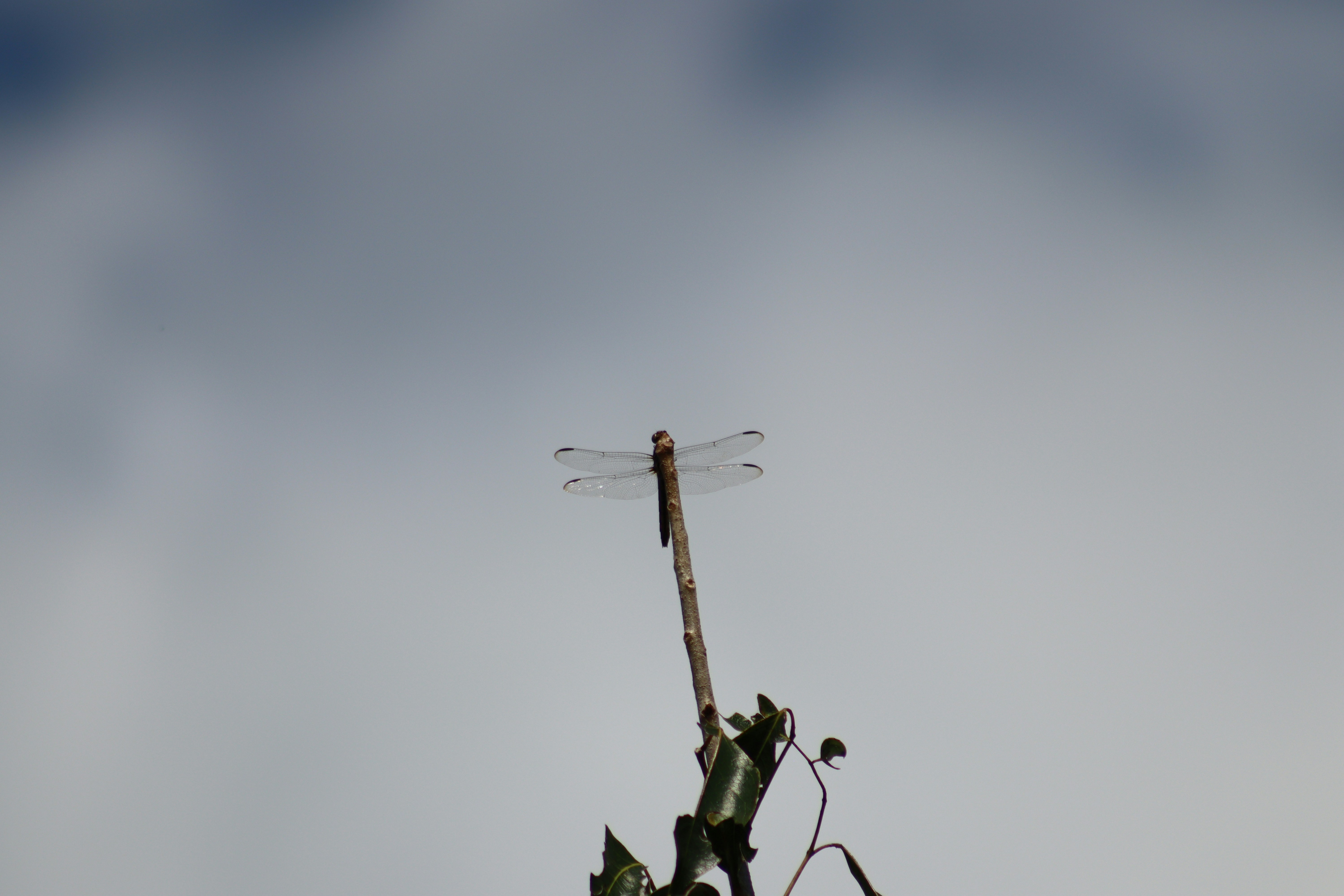 Photo by r1m9n