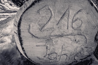 A large tree stump is shown with the number '216' and the word 'Jahre' carved into the wood, indicating the age of the tree in years. The stump has visible rings and patterns on its surface, and it is surrounded by snow.