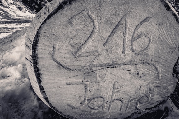 A large tree stump is shown with the number '216' and the word 'Jahre' carved into the wood, indicating the age of the tree in years. The stump has visible rings and patterns on its surface, and it is surrounded by snow.