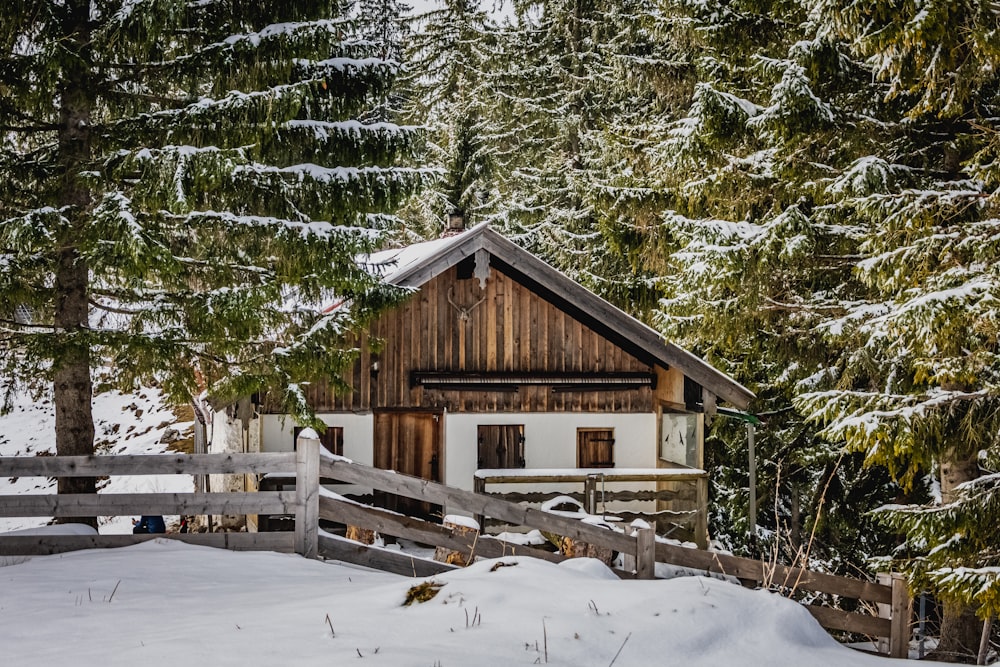 Braunes Holzhaus tagsüber von schneebedeckten Bäumen umgeben