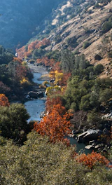 river between trees and mountains during daytime