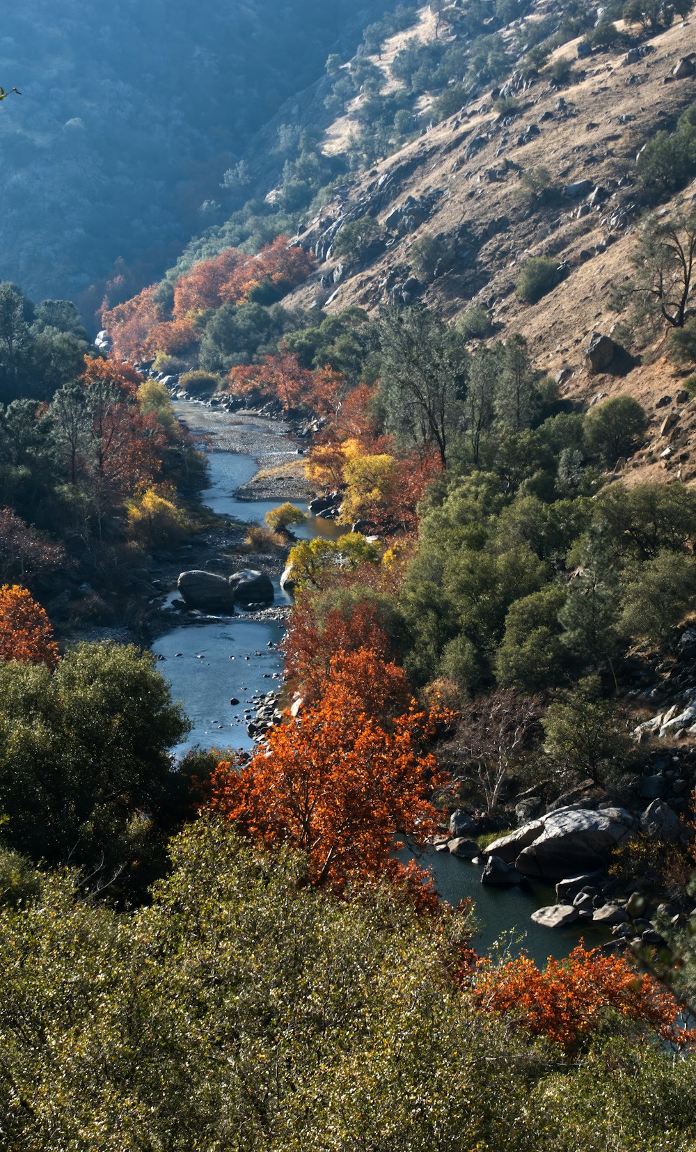 river between trees and mountains during daytime