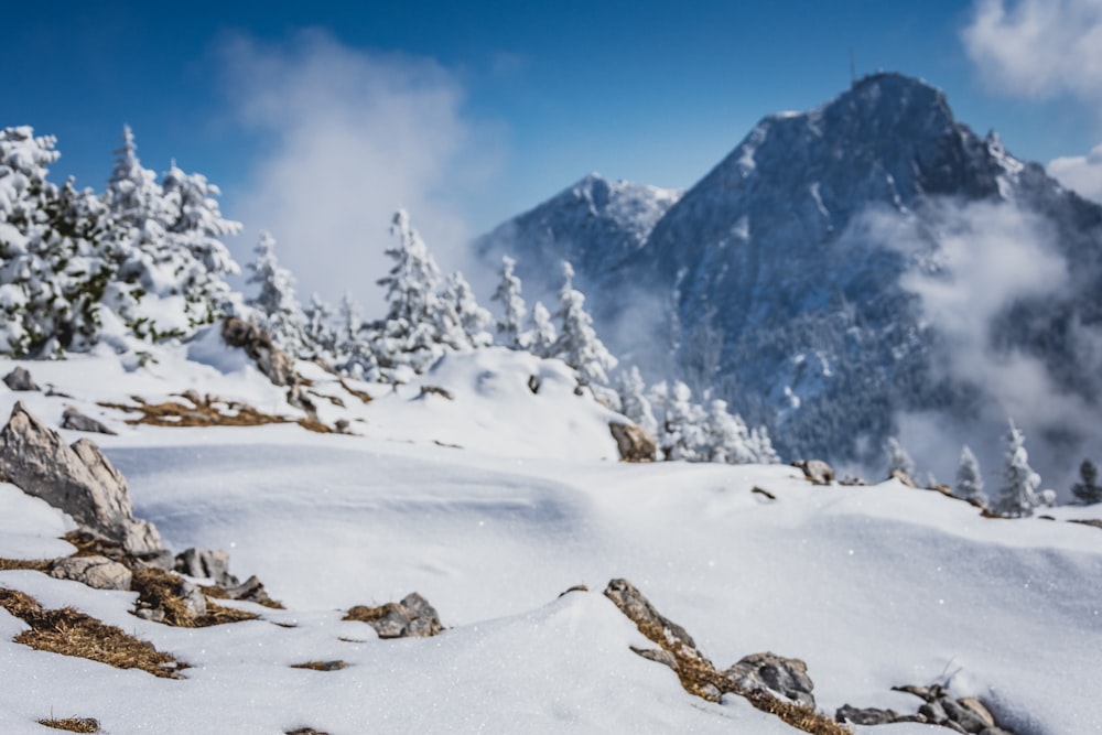 snow covered mountain under blue sky during daytime