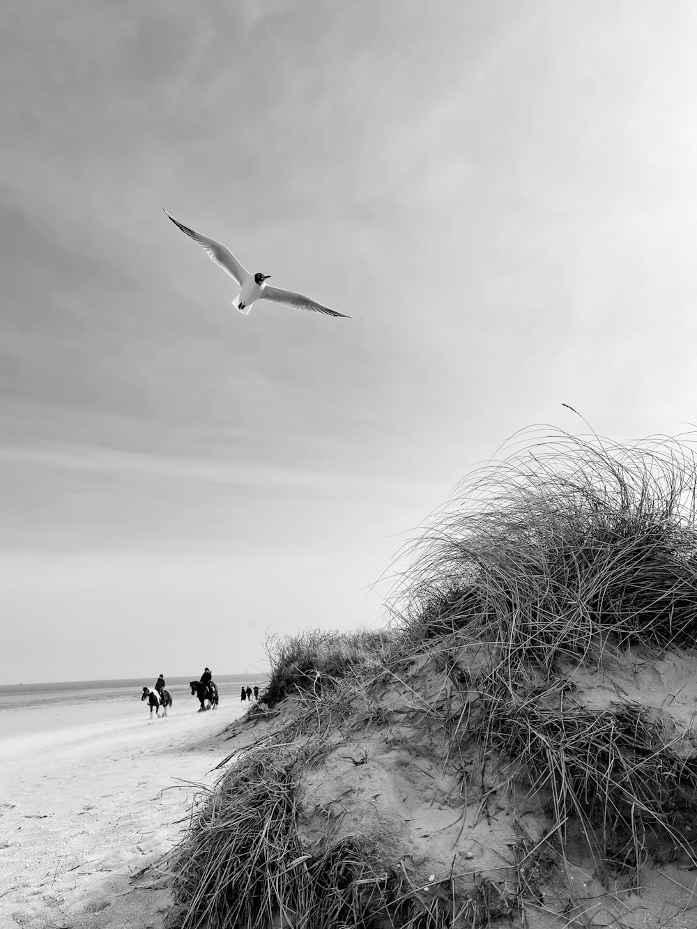 grayscale photo of people walking on beach