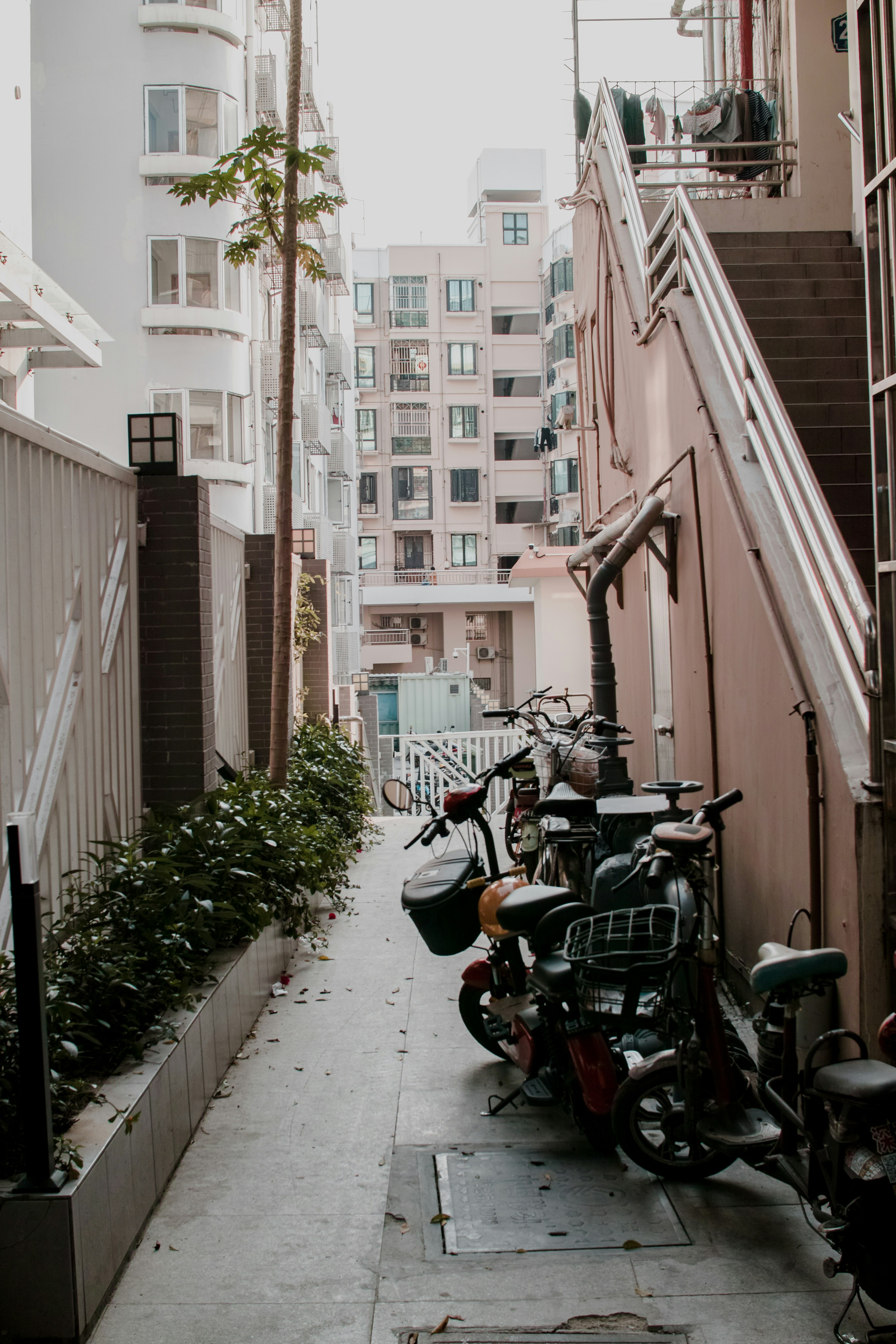 Photo by joshuafernandez