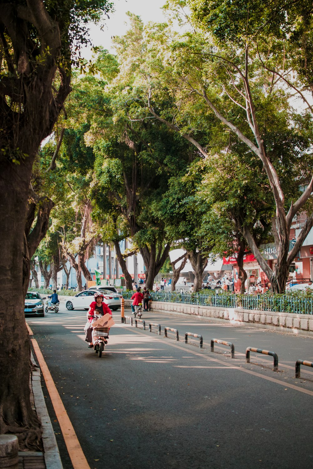 people riding bicycles on road during daytime