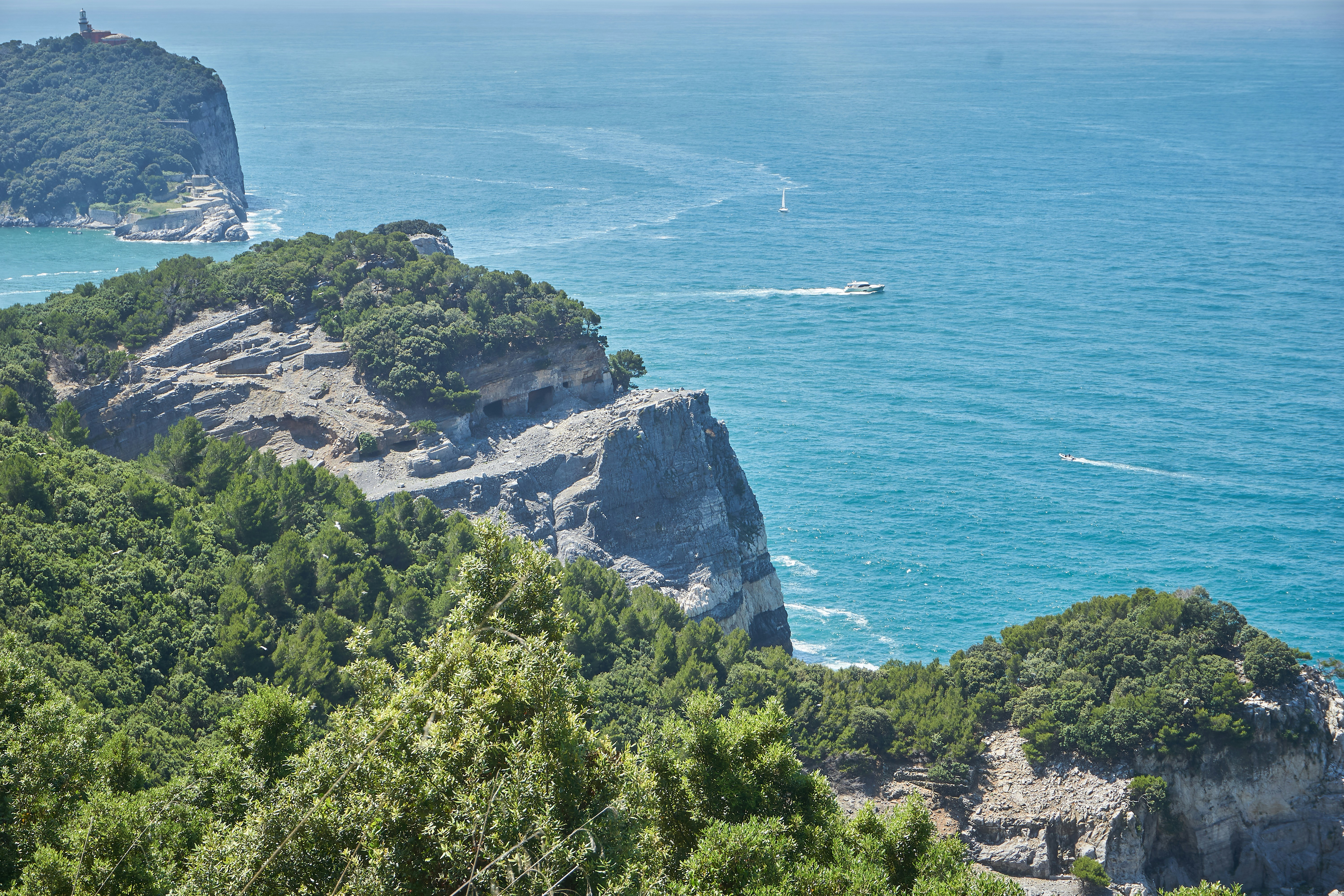 velero blanco en el mar cerca de árboles verdes durante el día