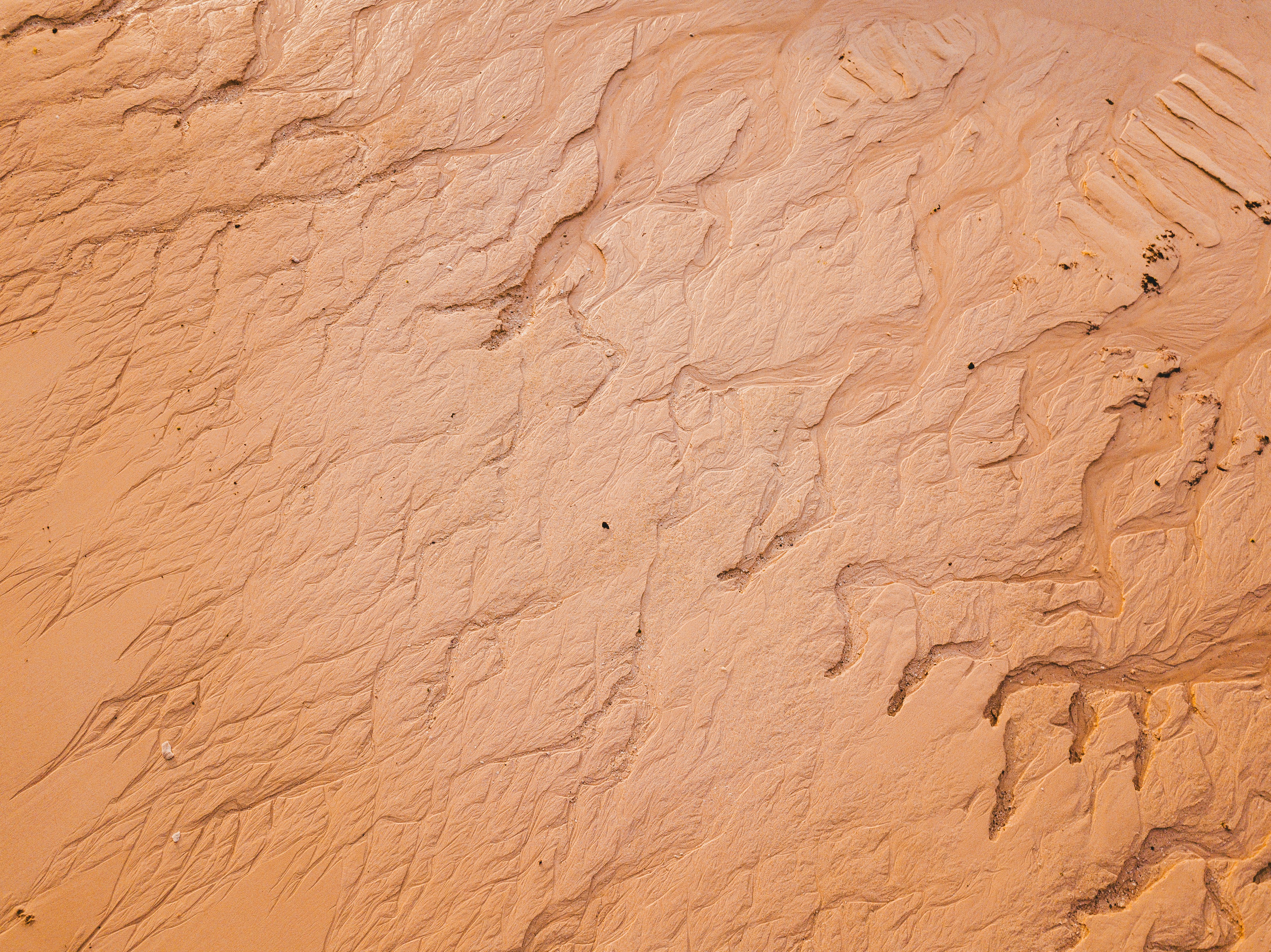 Photo by unstable_affliction