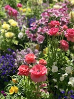 A vibrant backyard garden featuring colorful flower beds and neatly trimmed shrubs under soft sunlight.