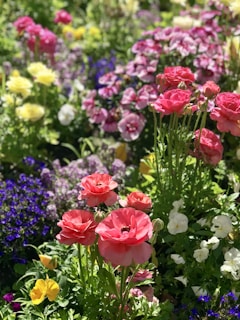 A vibrant garden corner with a small water feature and a variety of blooming flowers in warm sunlight