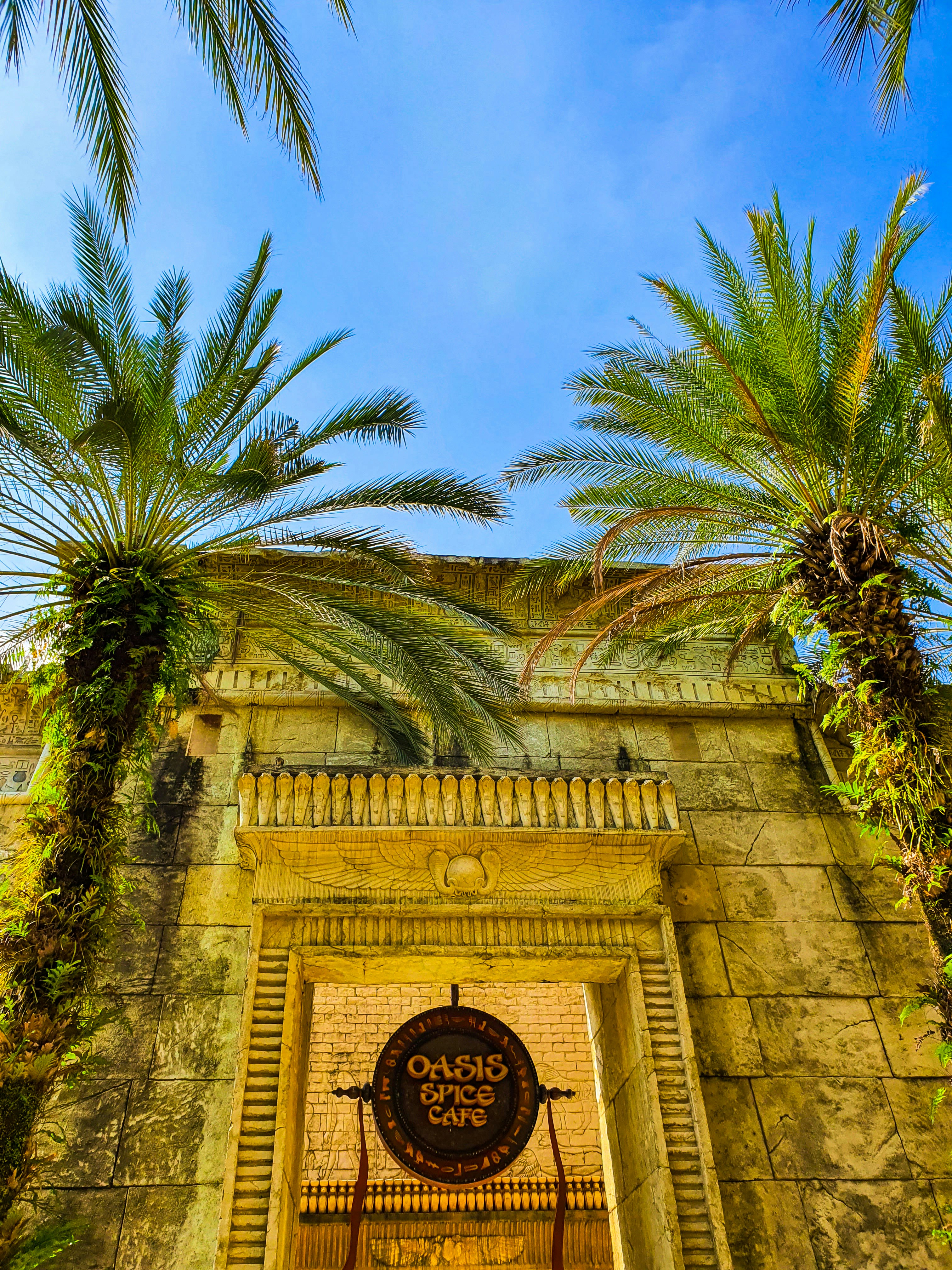 green palm tree near brown concrete building