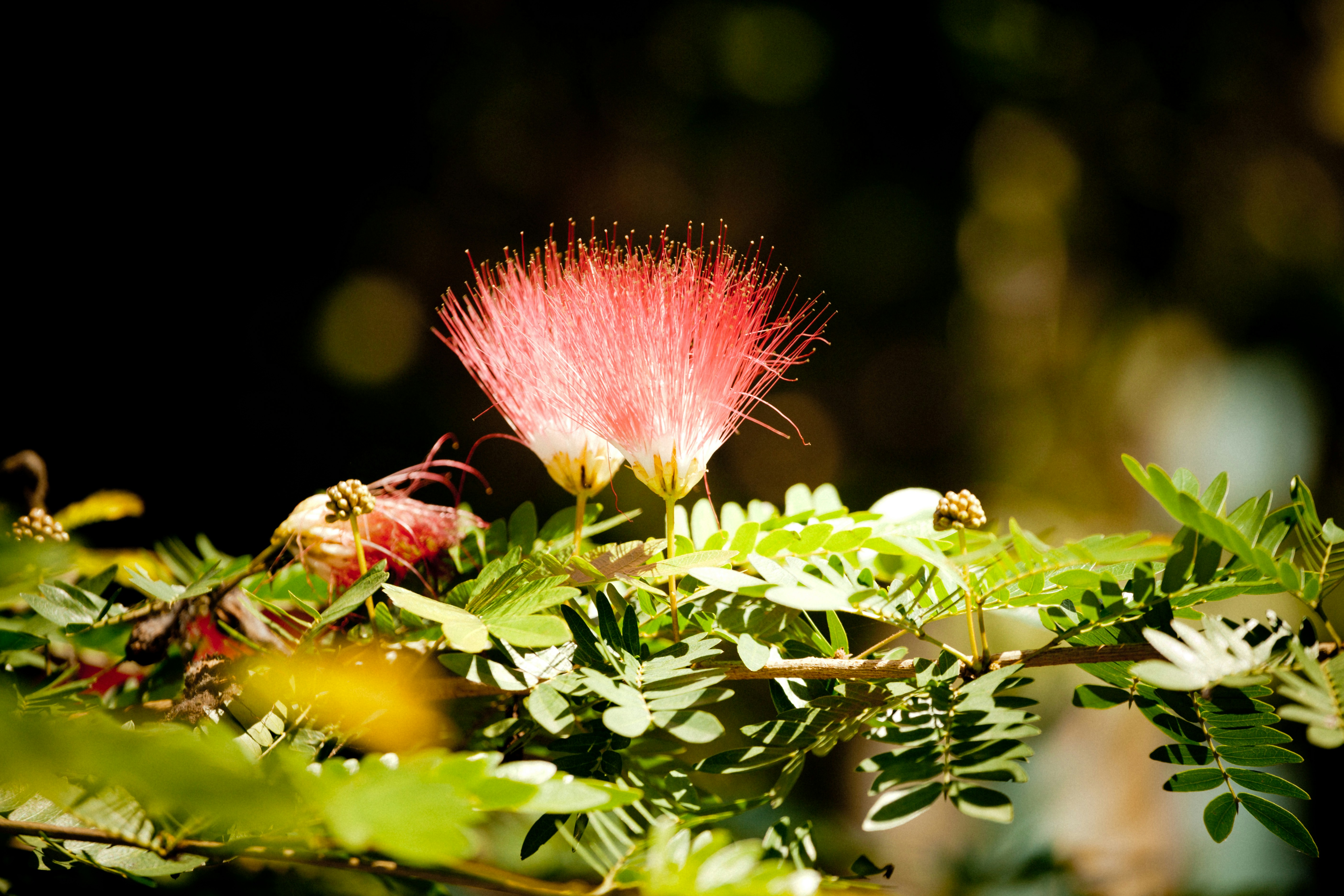 Photo by raimondklavins