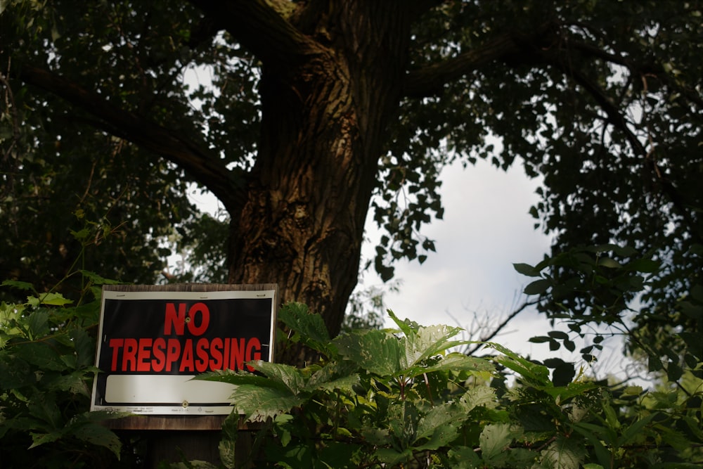 a no trespassing sign in front of a tree