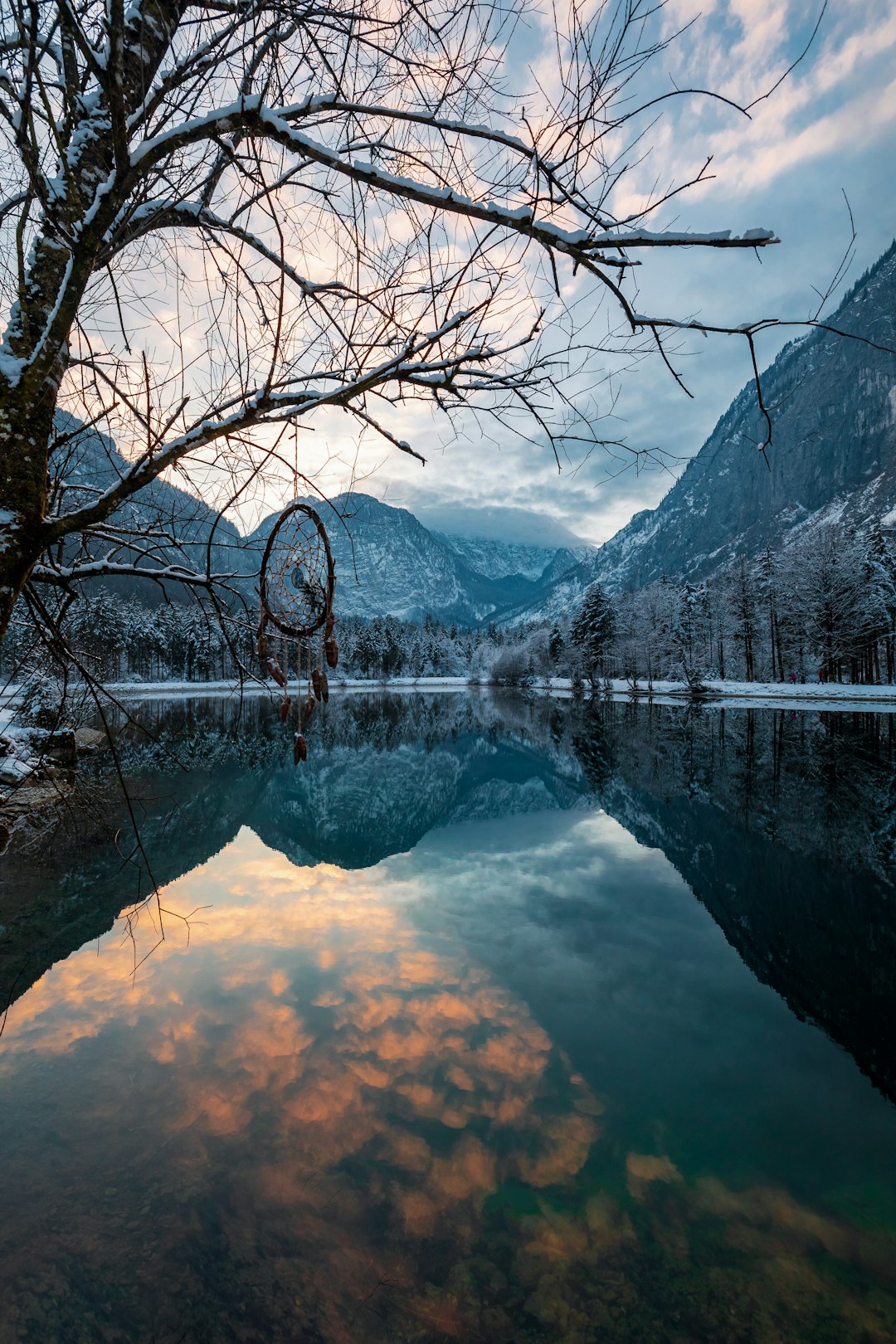 bare tree near lake during daytime