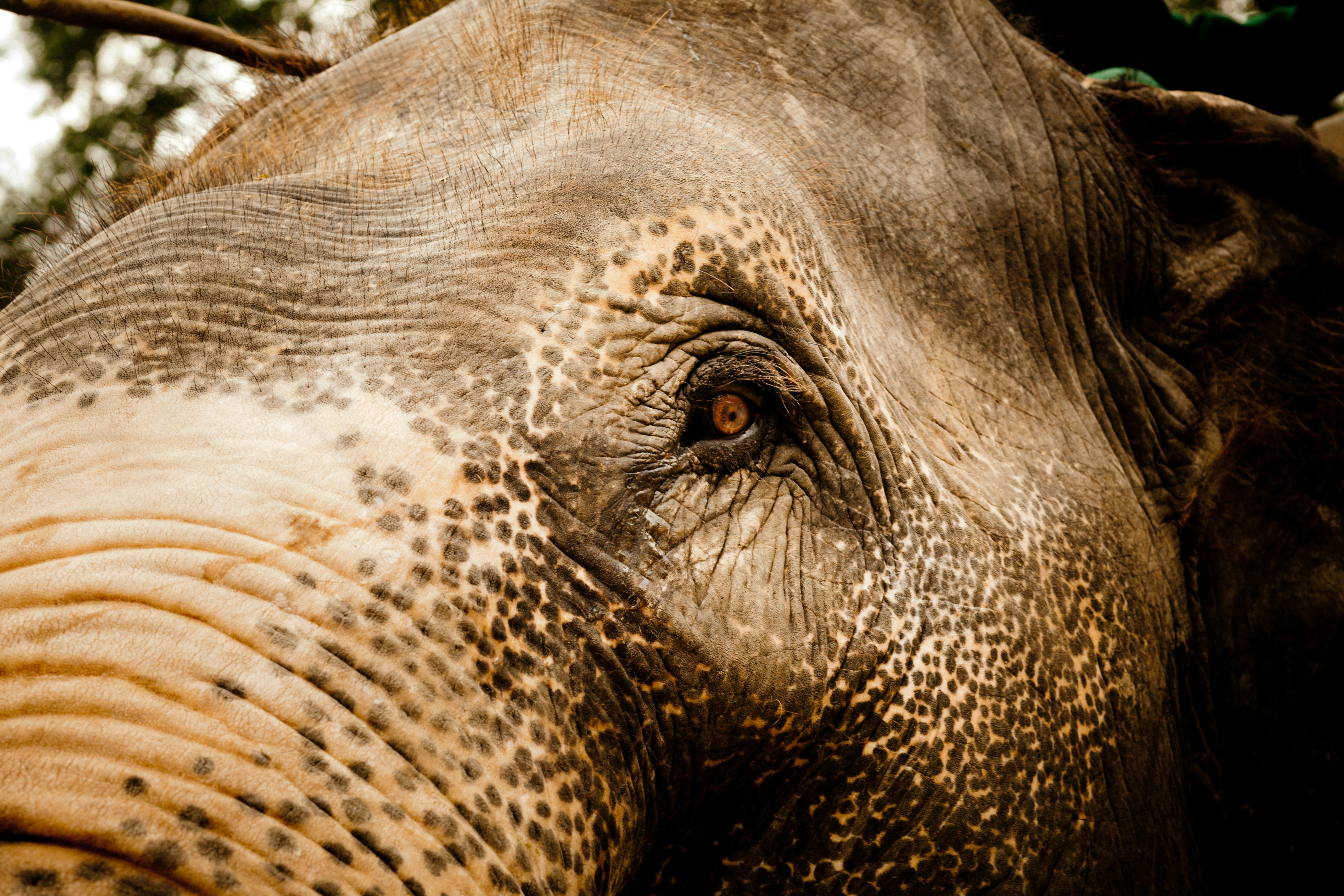 Photo by raimondklavins