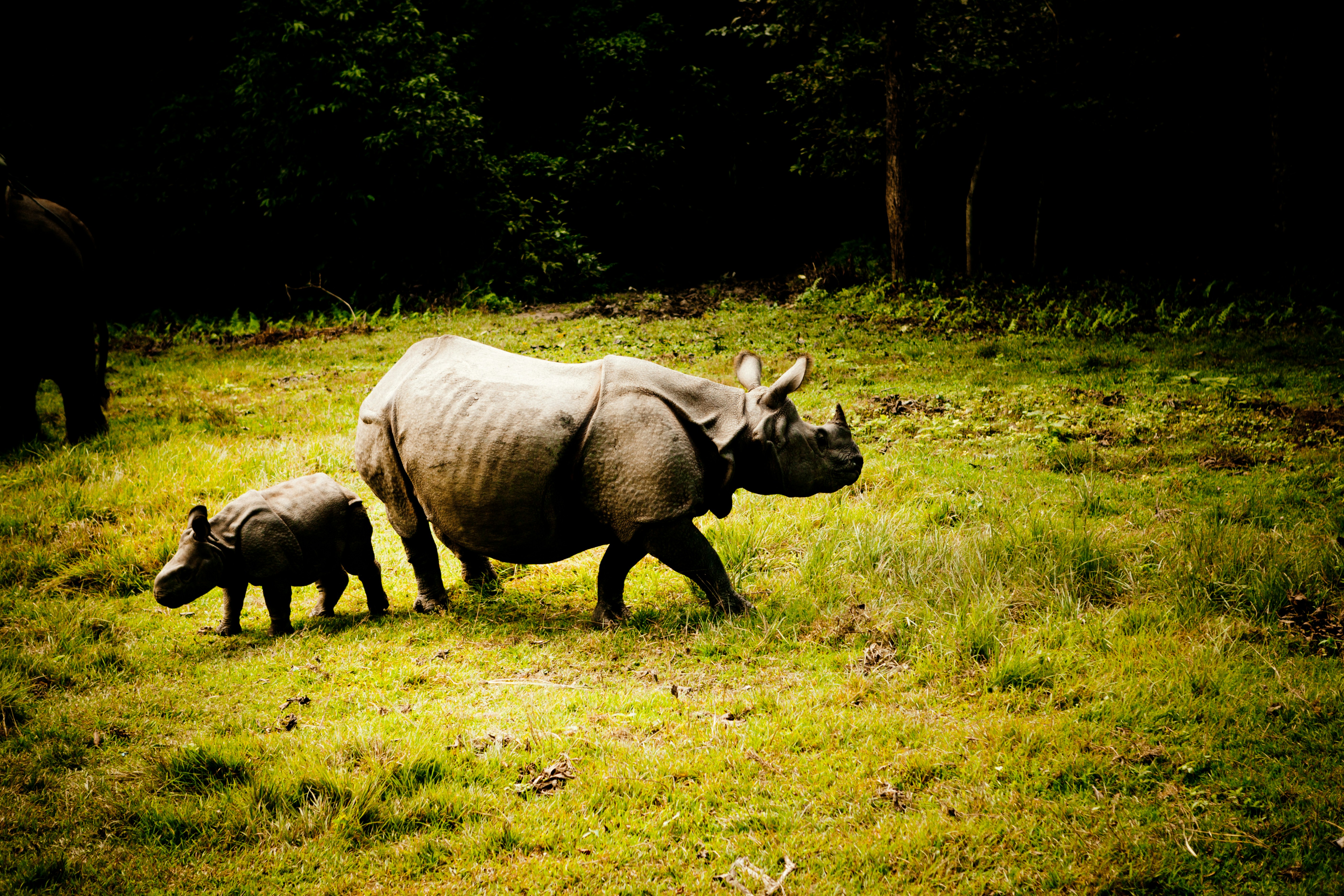 Photo by raimondklavins