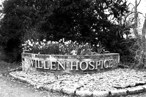 A black and white photograph of a brick structure with the words 'Willen Hospice' prominently displayed. Above the letters, there is a row of daffodils in full bloom. The background features trees and foliage, creating a serene and natural setting.