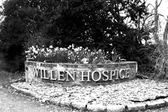 A black and white photograph of a brick structure with the words 'Willen Hospice' prominently displayed. Above the letters, there is a row of daffodils in full bloom. The background features trees and foliage, creating a serene and natural setting.