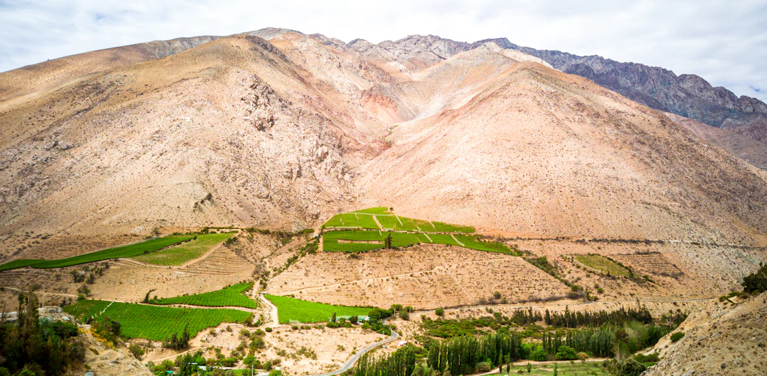 Valle dell’Elqui