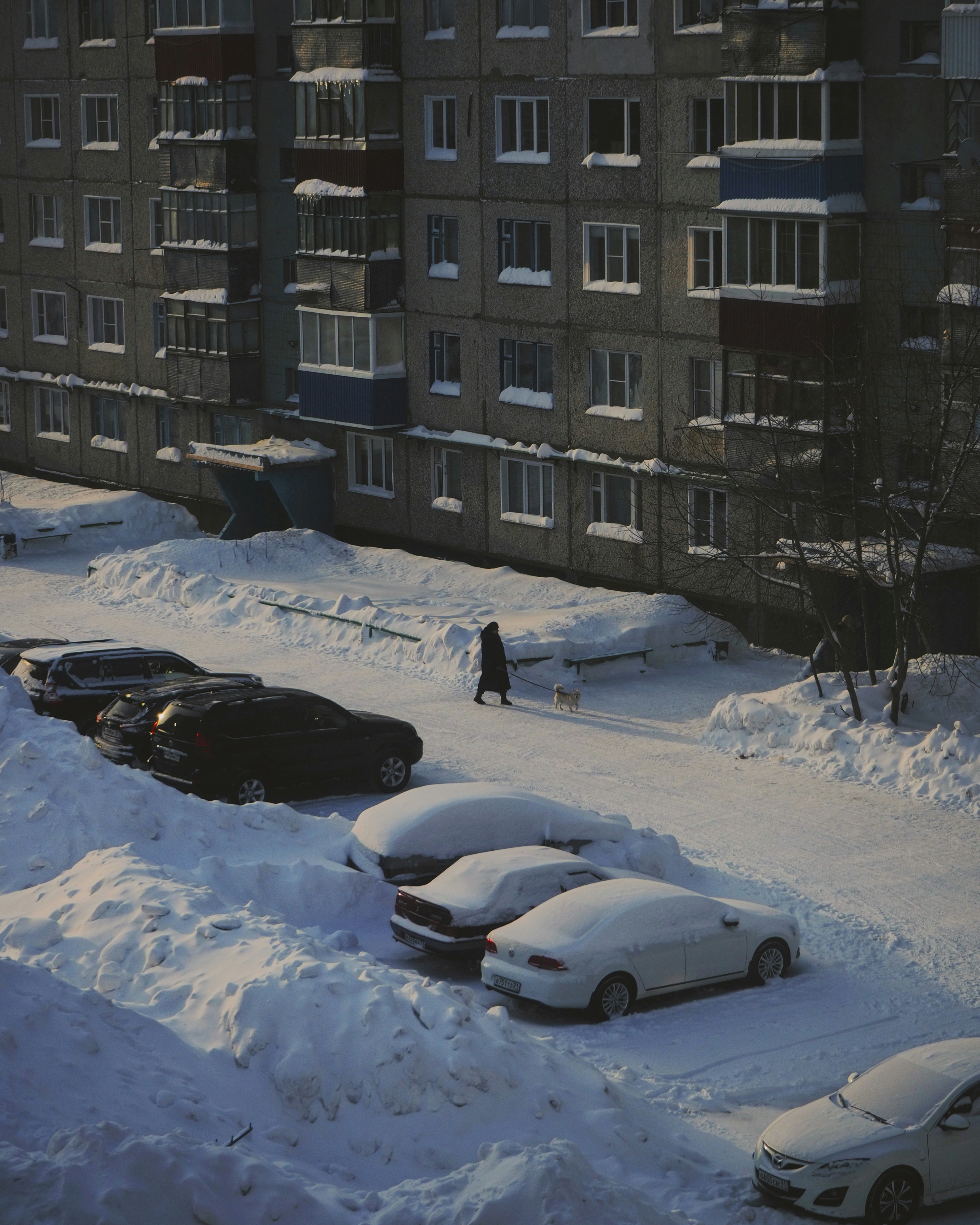 Photo by vladizlo