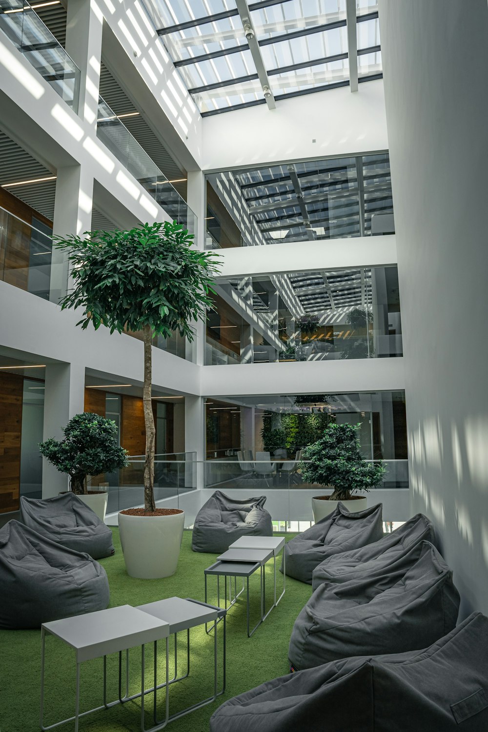 Planta verde en maceta de cerámica blanca