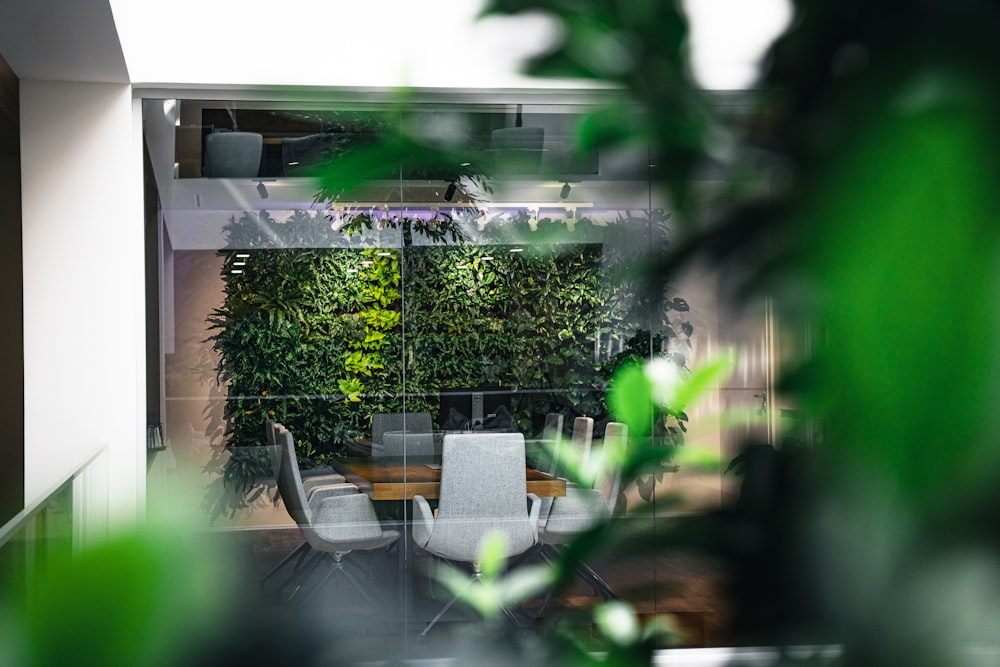 green leaf plant near brown wooden table and chairs