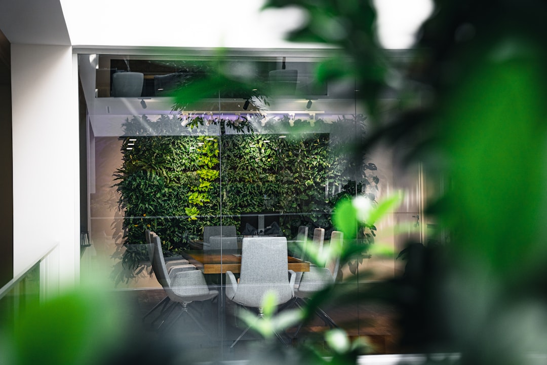 green leaf plant near brown wooden table and chairs