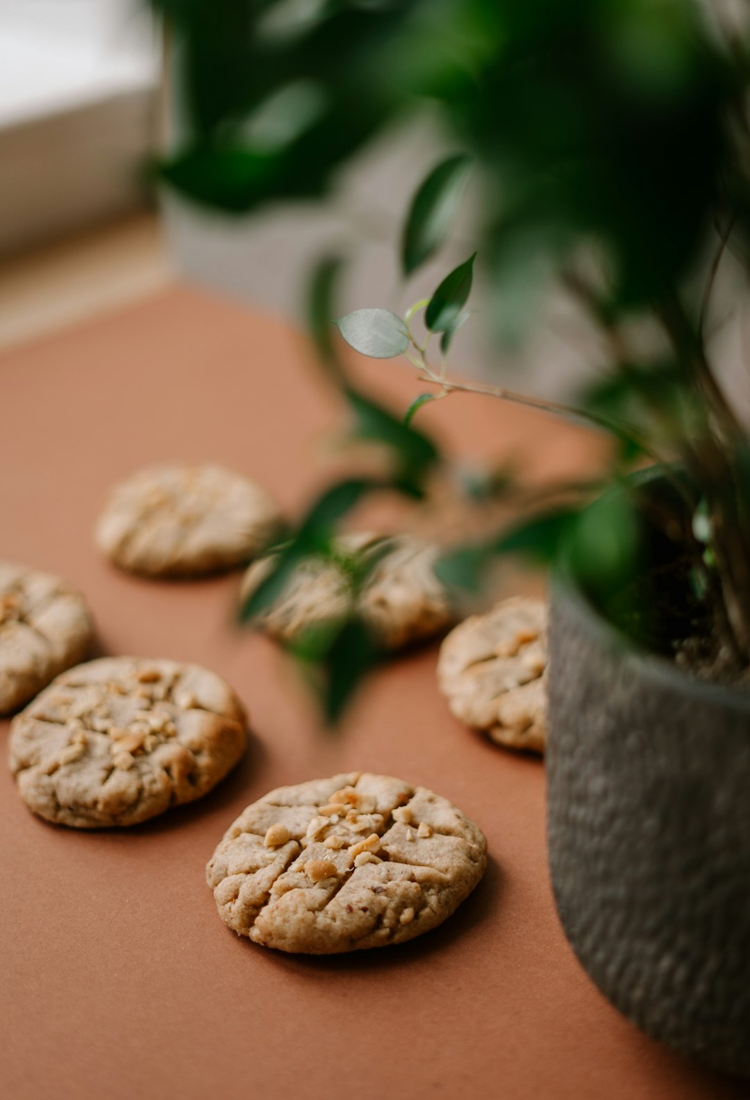 brown cookies on brown wooden table